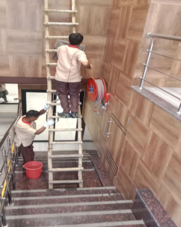 Cleaning and Housekeeping Services